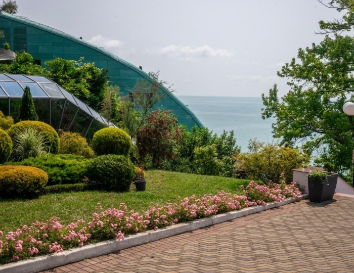 Санаторий «Беларусь» Сочи