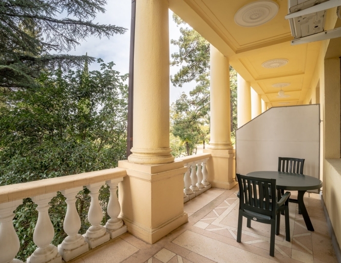 Стандартный 1-местный с балк. Главный корпус - Санаторий «Беларусь» Сочи