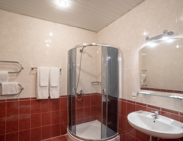 Стандартный 2-местный 1-комнатный Главный корпус - Санаторий «Беларусь» Сочи