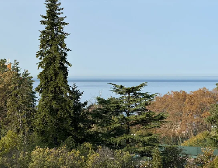 Семейный трехкомнатный с балконом Главный корпус - Санаторий «Беларусь» Сочи